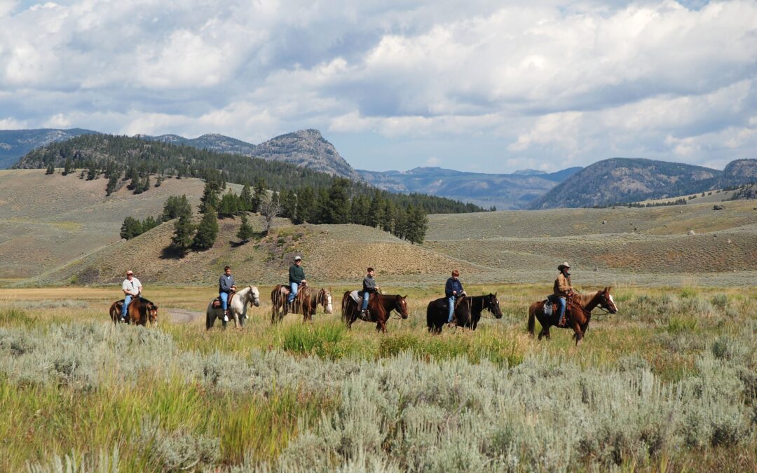 Yellowstone’s Secret Entrance Leads To The National Park’s Most Underrated Sights