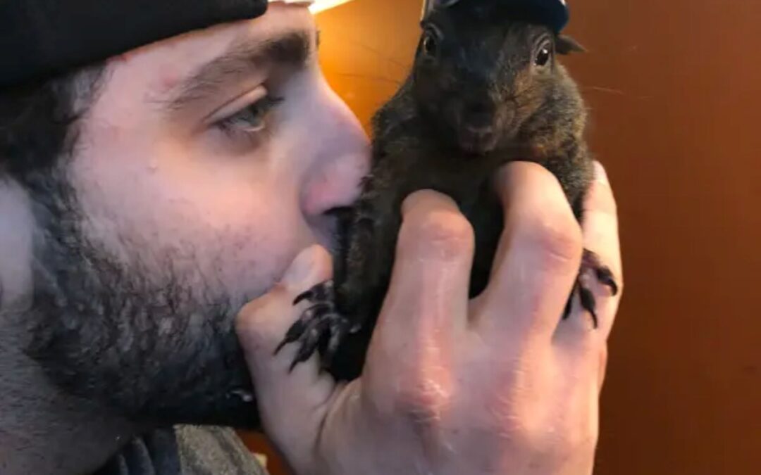 Peanut, the Squirrel Euthanized by NY State Authorities: Longo Family Devastated